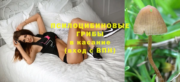 ГАЛЛЮЦИНОГЕННЫЕ ГРИБЫ Ачинск